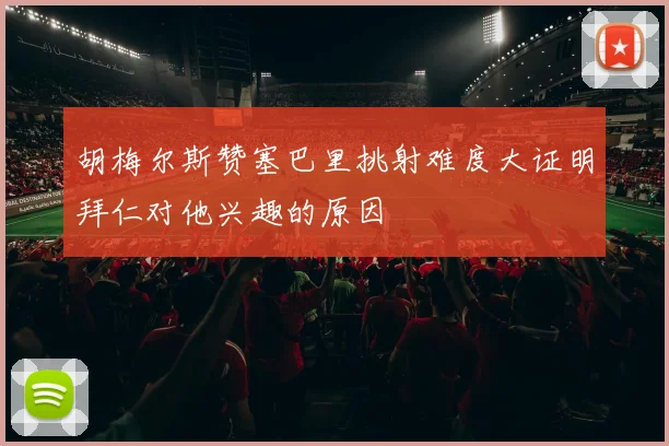 胡梅尔斯赞塞巴里挑射难度大证明拜仁对他兴趣的原因